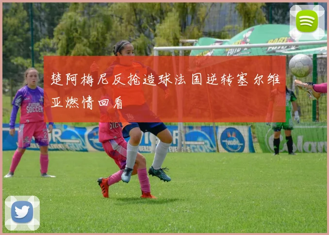 楚阿梅尼反抢造球法国逆转塞尔维亚燃情回看