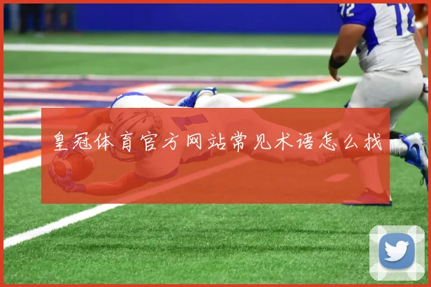 皇冠体育官方网站常见术语怎么找