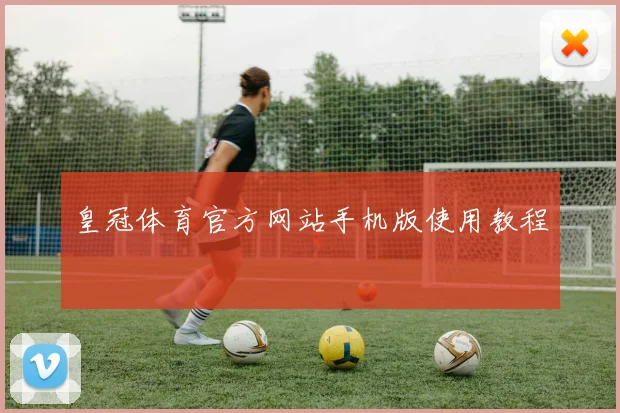 皇冠体育官方网站手机版使用教程