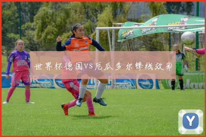世界杯德国vs厄瓜多尔锋线效率