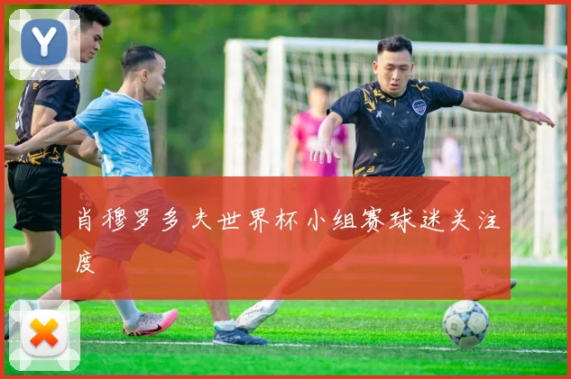 肖穆罗多夫世界杯小组赛球迷关注度