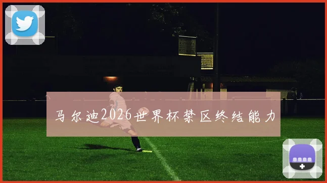 马尔迪2026世界杯禁区终结能力